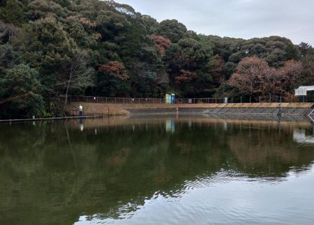 意外に難しかった岡崎トラウトポンド